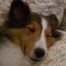 kenkotaro's profile picture