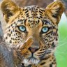 Фото профиля Vicente Ramirez