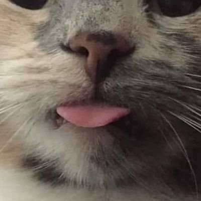 Namedaruma1992's profile picture