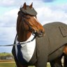 NiedermeyersDeadHorse aka NDH profil fotoğrafı