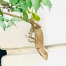 inya_5483 profil fotoğrafı