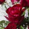きくちジュニア♀️女性 profil fotoğrafı