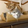ルークとカイ profil fotoğrafı