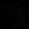 Фото профиля black Lightning