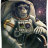 Фото профиля spacemonkey
