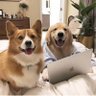 你头发乱了喔's profile picture