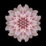 Phi's profile picture