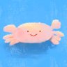 かにです's profile picture