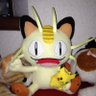 Profilbild von ぺこちゃん