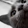 Frederic's profile picture