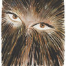 Raymond Pettibon's profile picture