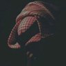 ألـشـرح's profile picture