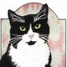 Memoria's profile picture