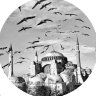 عبدالله الشمري . profil fotoğrafı