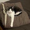 @Mii profil fotoğrafı