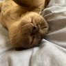 B H's profile picture
