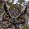 Momotte profil fotoğrafı