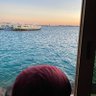 TAREQ 的头像
