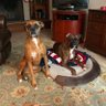 Boxermom of 2's profile picture