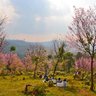 น้ำปลาปรับผ้านุ่ม 的头像
