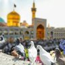 sAeed_s.7's profile picture