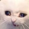 Profilbild von HH97