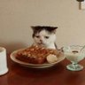 Aaron van Etten's profile picture