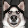 Joseph Hole's profile picture