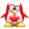 Canooki Tanooki's profile picture