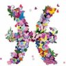Hannash@eim.ae's profile picture