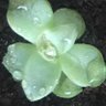 Фото профиля DKEN