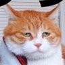 Mr.AHP さとる 的头像