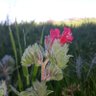 Фото профиля العاشق الولهان