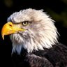 Profilbild von Eaglekvra