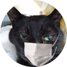 Profilbild von 🇯🇵黒猫さん