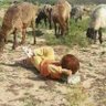 Mohamed.. profil fotoğrafı