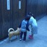 こまりえ 的头像