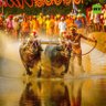 Фото профиля ہکا بکا
