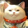 Profilbild von Qeen