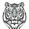 Tigre de Santiago 的头像