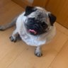 Profilbild von A