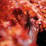 Фото профиля NothingToLose-