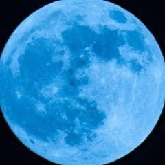 WNOisS2's profile picture