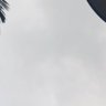 mtom 的头像
