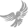Silver Bird 的头像