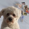 Bree MO's profile picture