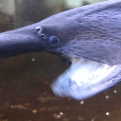 Alice_n72's profile picture
