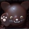 腹筋する猫 profil fotoğrafı