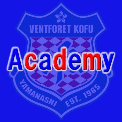 vfk_academy's profile picture