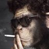 Искандер - оглы profil fotoğrafı